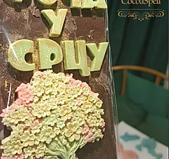 Čokoladni pokloni grad Foča1
