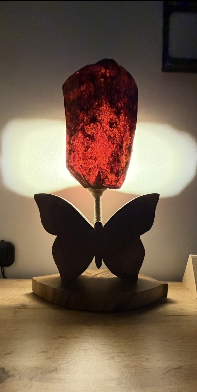 Leptir stona lampa — slika 1