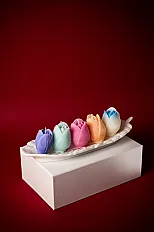 Tulip Garden Set