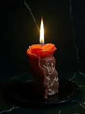 Mirisna ruža