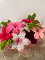 Lilly korpica