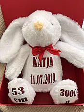 Personalizirani plišanac s podacima