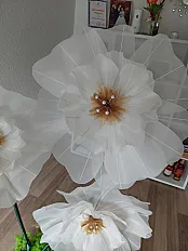 Šampanj organdin cvjet — slika 5