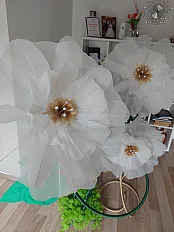 Šampanj organdin cvjet — slika 3