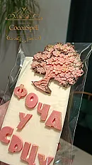 Personalizovana čokolada - gradovi- Foča — slika 3