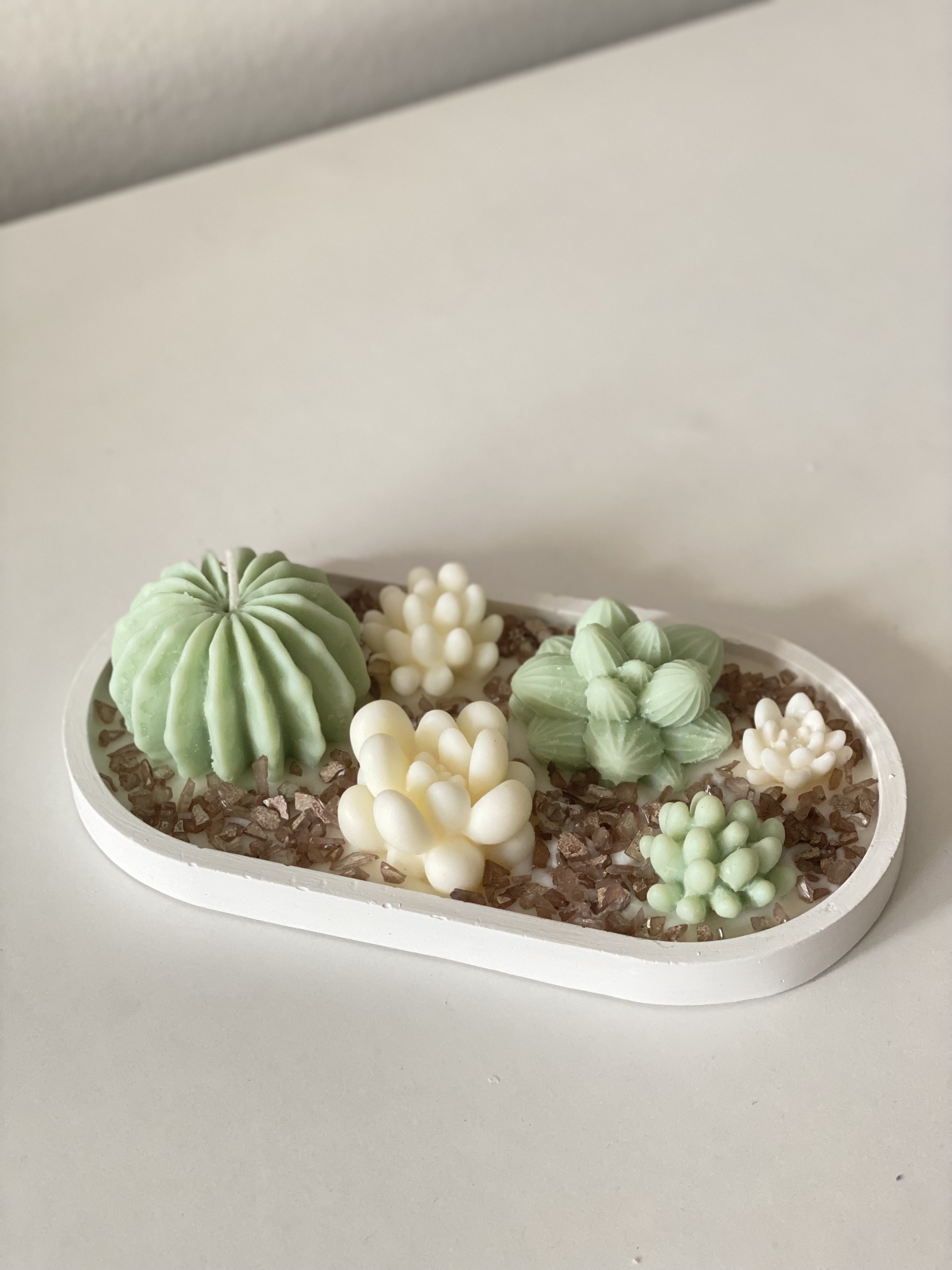 Sukulenti set  — slika 2