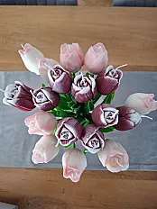 Tulipan — slika 2