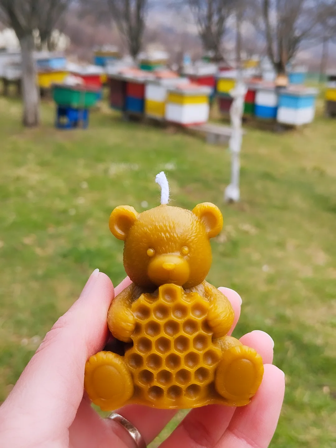 Svijeća medo — slika 2