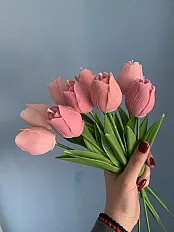 ag_mirisna.carolija